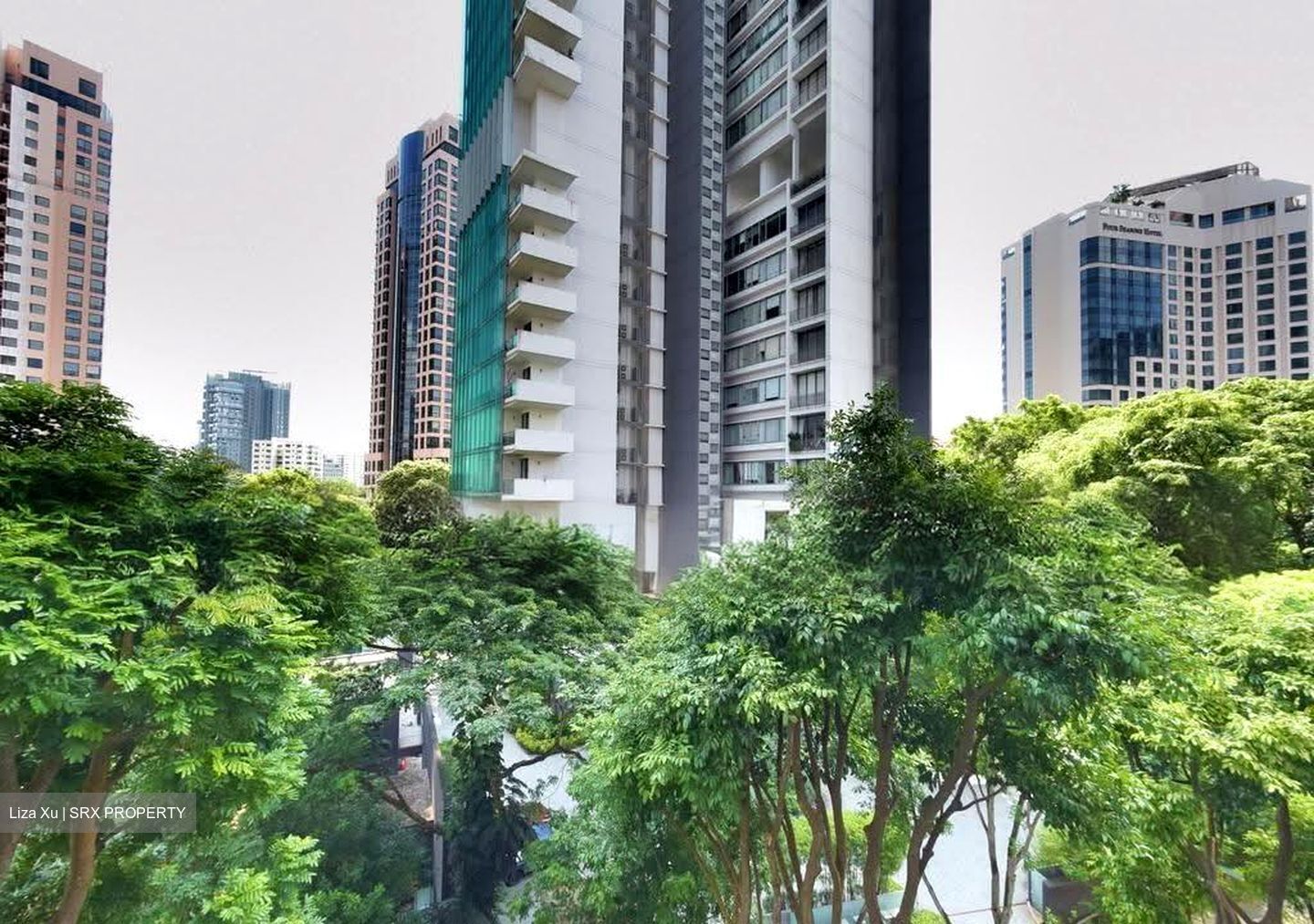 Angullia Park Residences @ Orchard (D10), Apartment #637694951